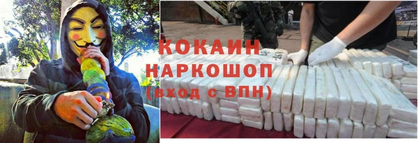 МДПВ Алексин