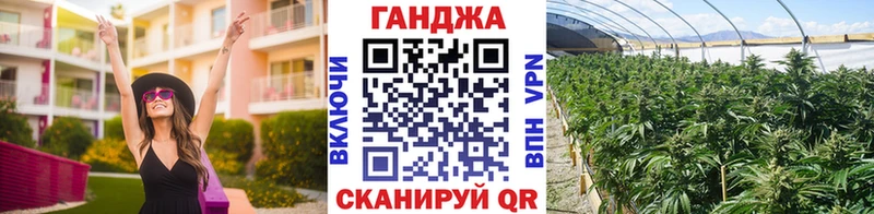 где можно купить наркотик  Новошахтинск  Марихуана семена 